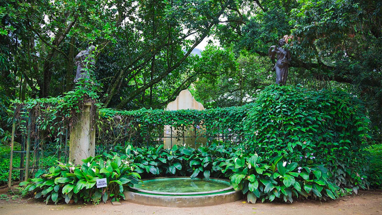 Jardín botánico de Río 1