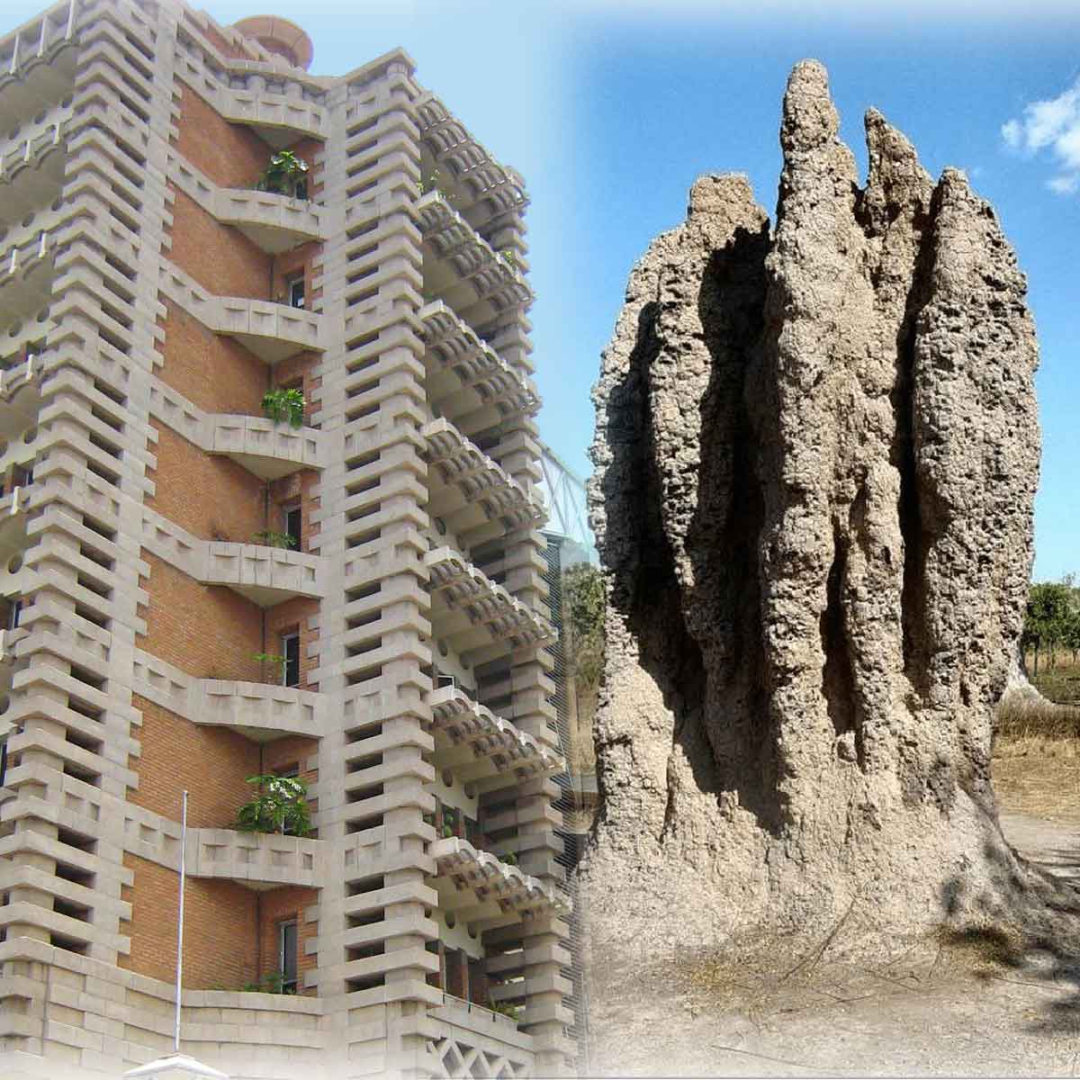 Arquitectura sostenible: Cinco edificios que emulan la naturaleza