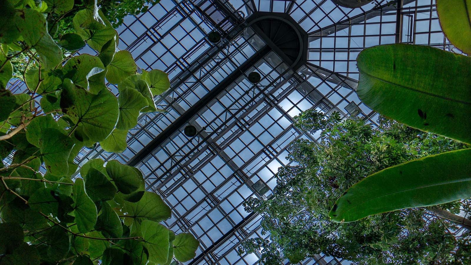 Jardín Botánico de Berlín Jardín Botánico de Berlín