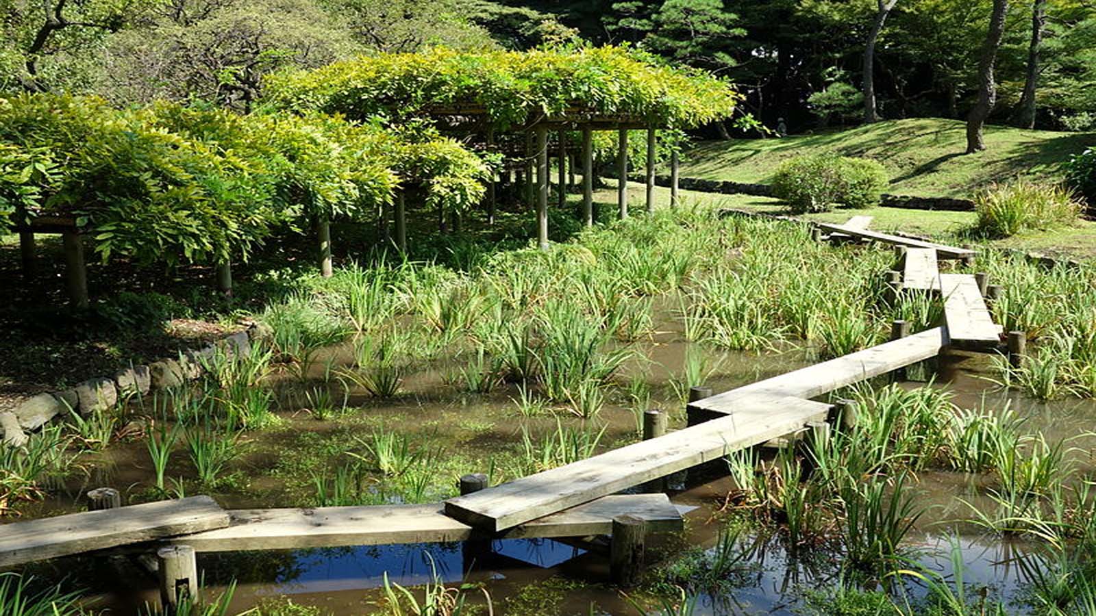 Jardín Botánico Koishikawa 3 Jardín Botánico Koishikawa