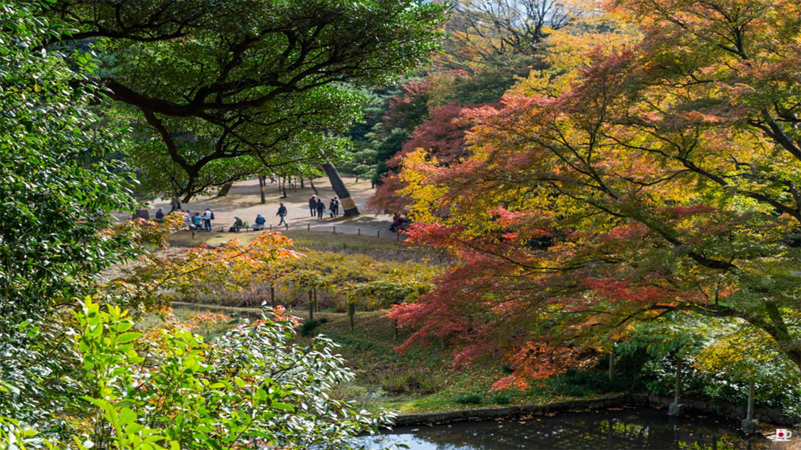 Jardín Botánico Koishikawa 2 Jardín Botánico Koishikawa