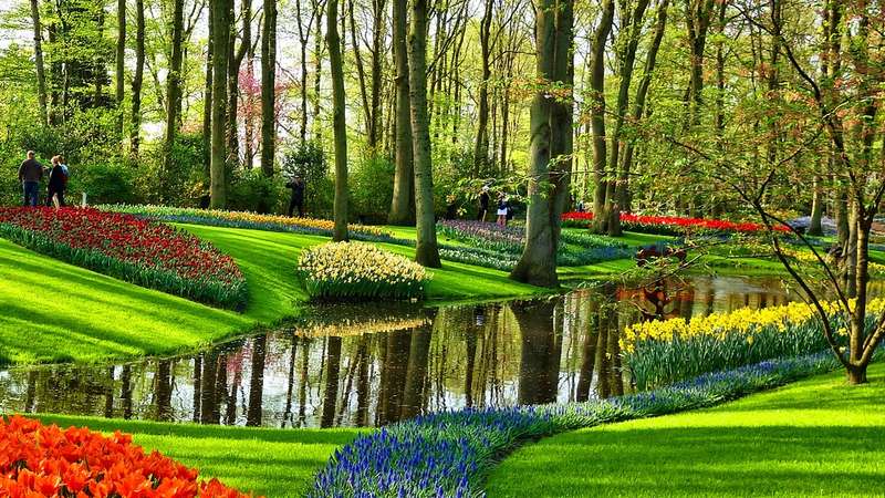 Jardines de Keukenhof 2