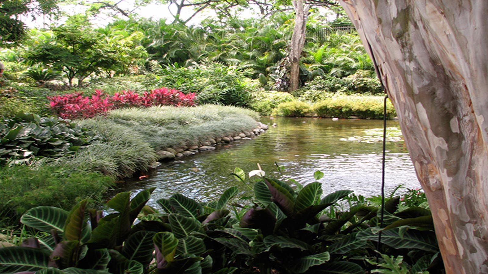 Christopher Baasch jardines