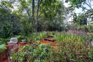 jardinsustentable1