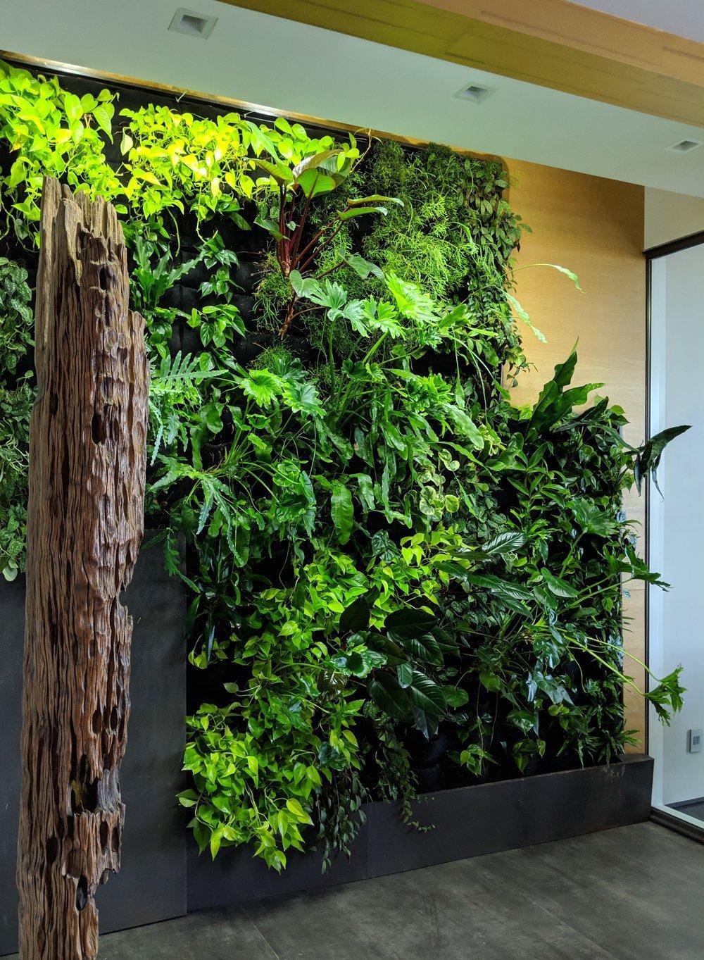 Leaf box en San Francisco