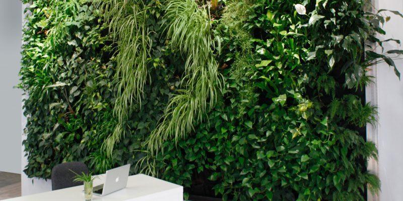 Jardín vertical interior en Etobicoke