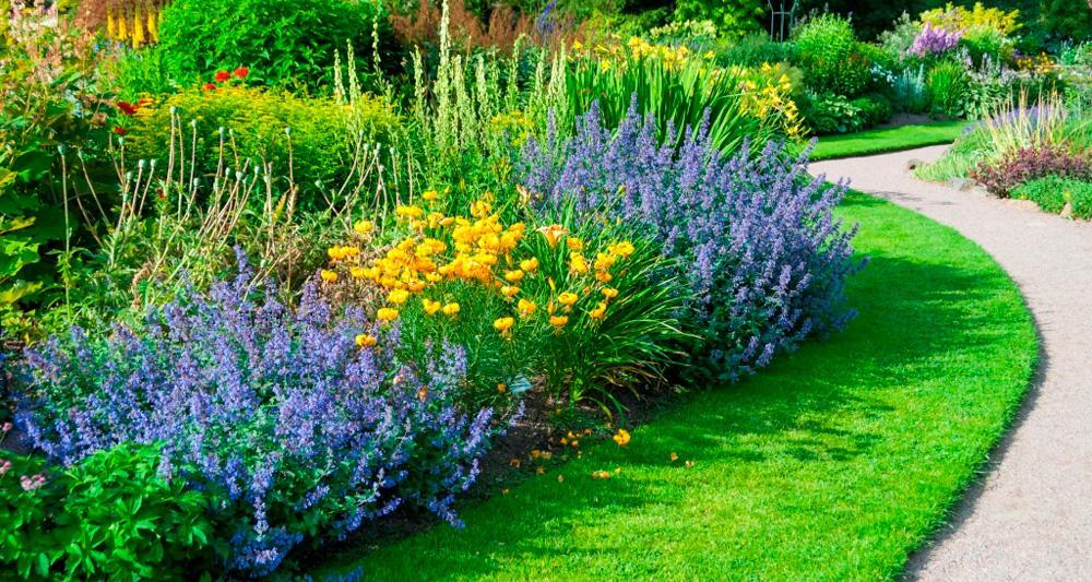 jardines en verano