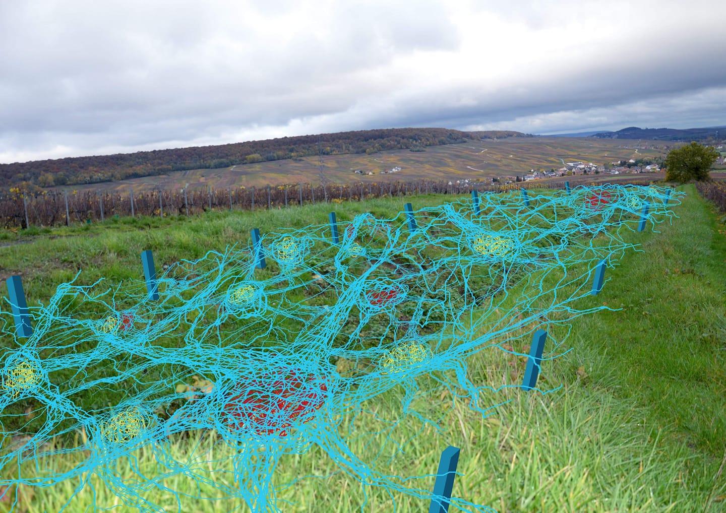Elisabeth Wierzbick y su proyecto "Interconnections"