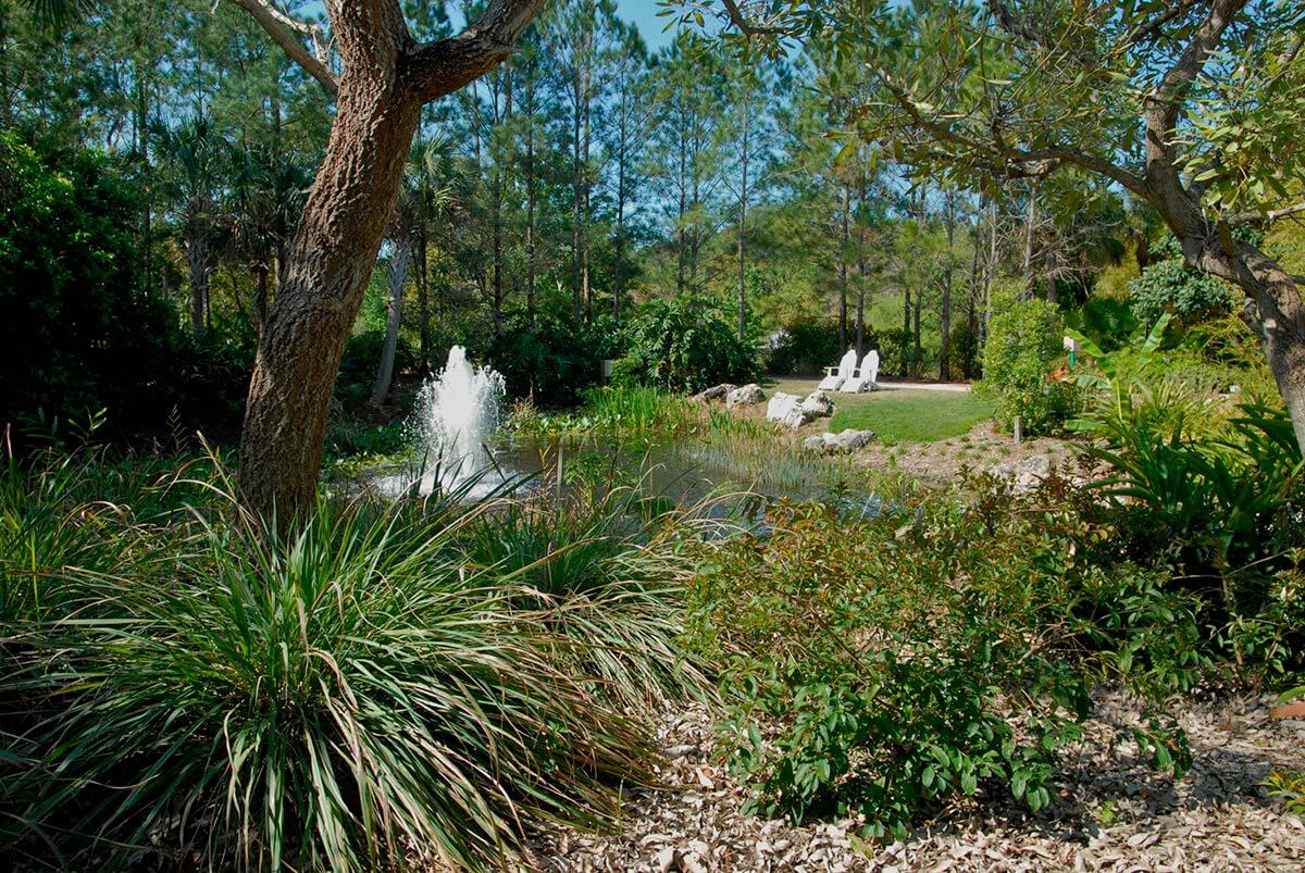 Florida Botanical Gardens -Plantas