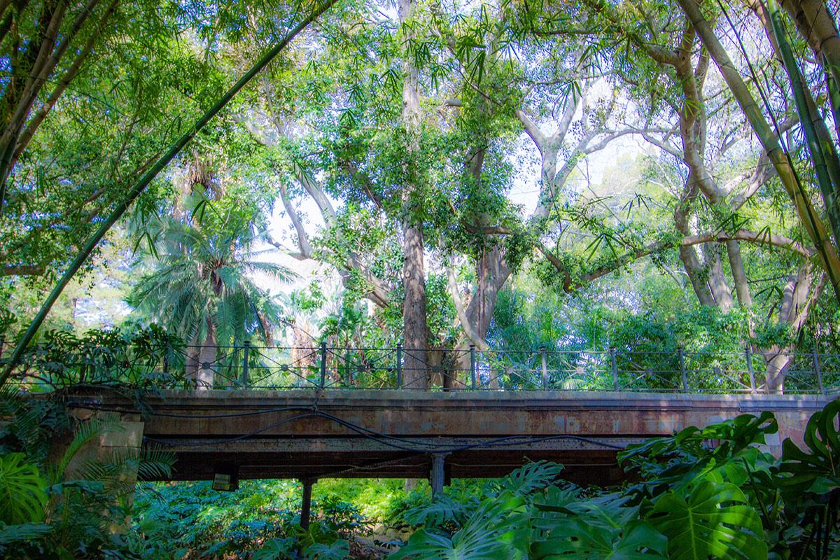 Jardín Botánico Histórico La Concepción