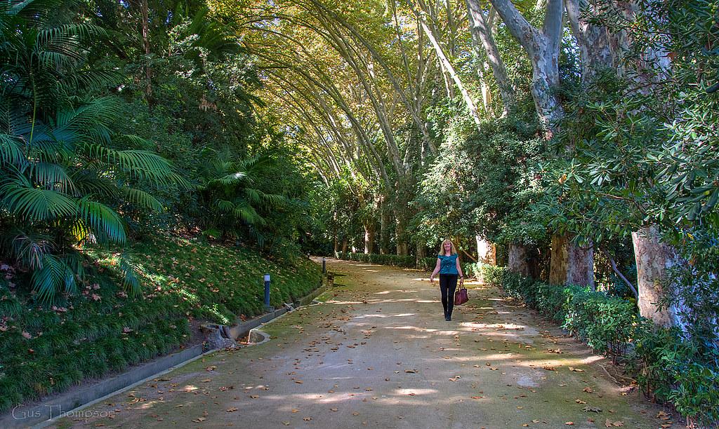Jardín Botánico Histórico La Concepción - Colecciones vegetales
