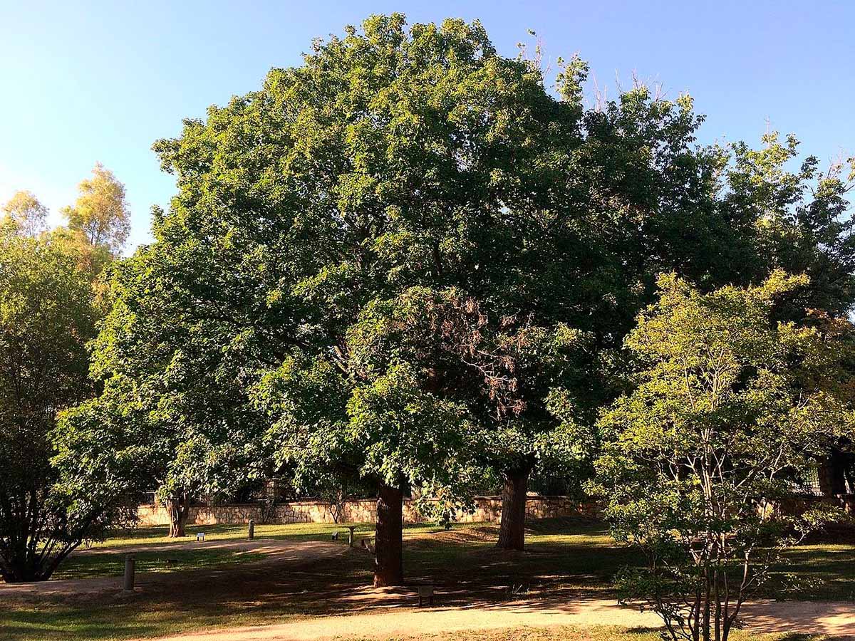 Jardín Botánico de Zaragoza