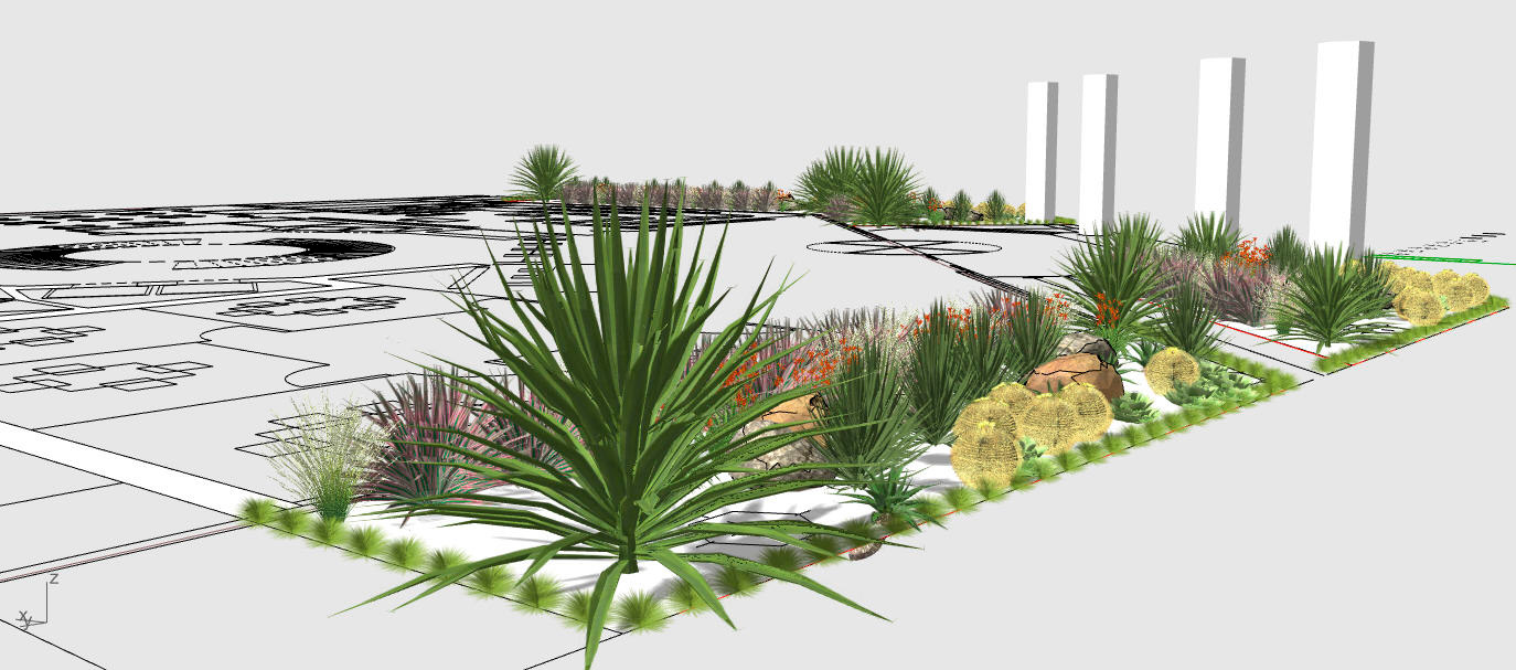 Diseño de un jardín xerófilo