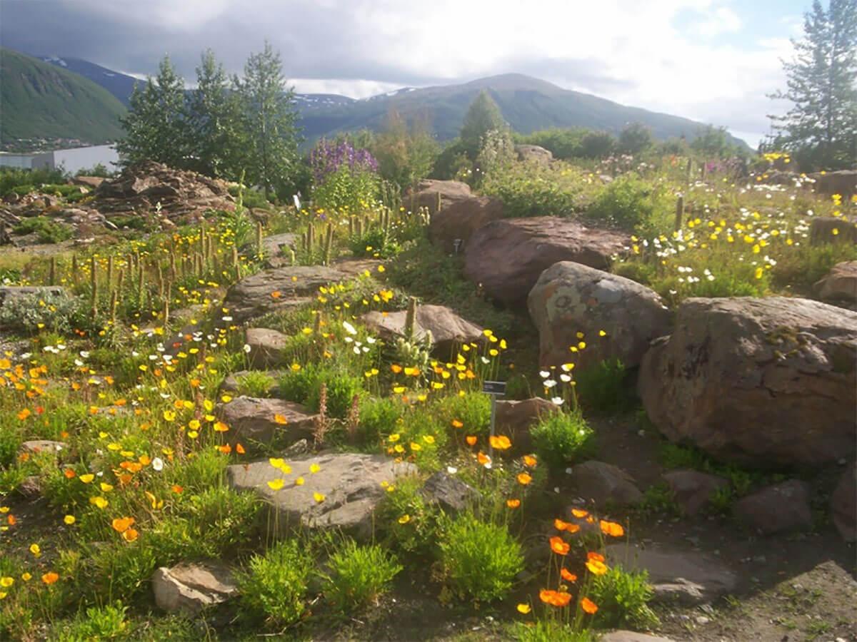Jardín Botánico Ártico-Alpino