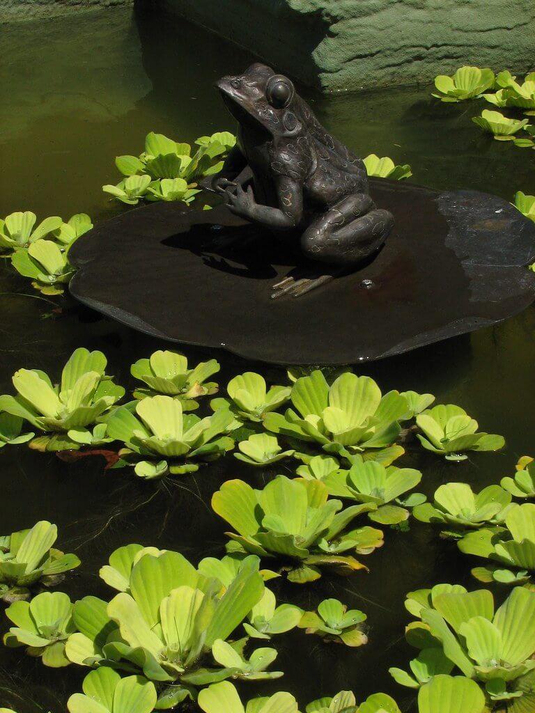 plantas para un jardín árabe