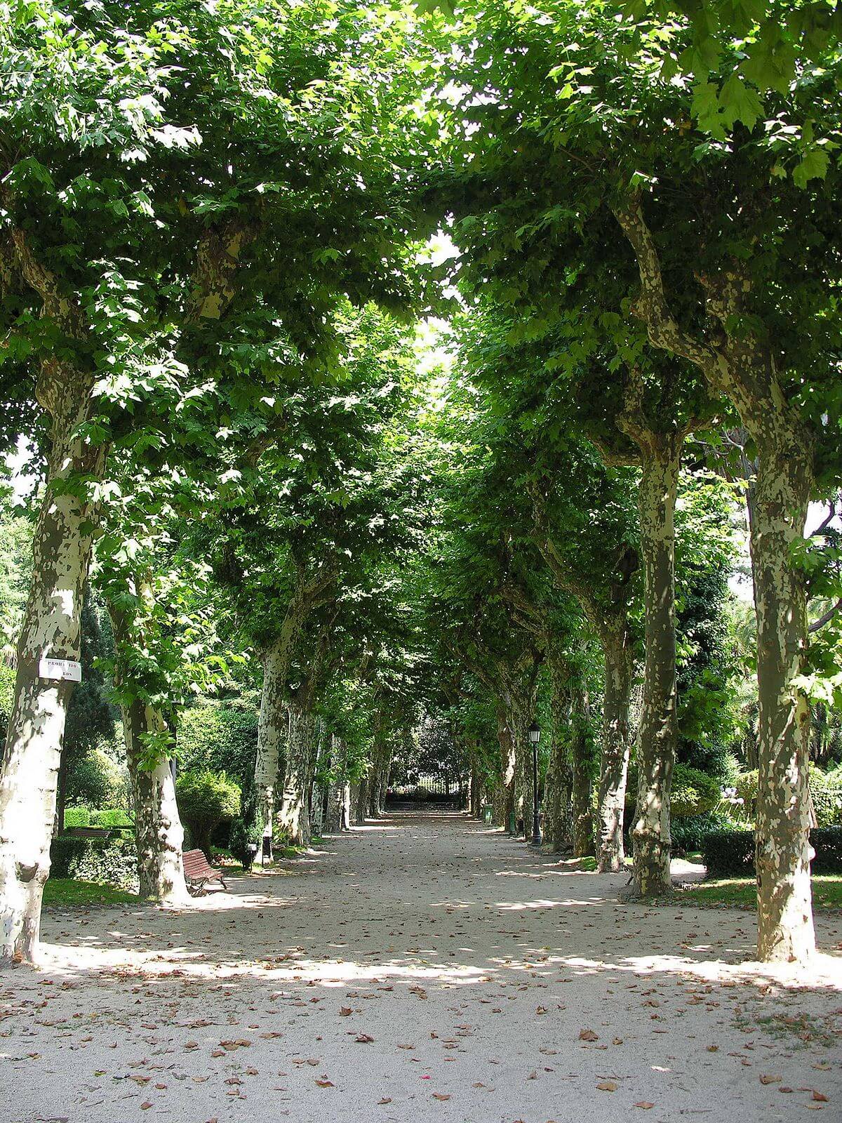 jardin botanico de padron