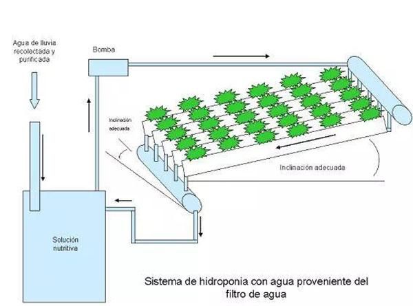 jardín hidropónico