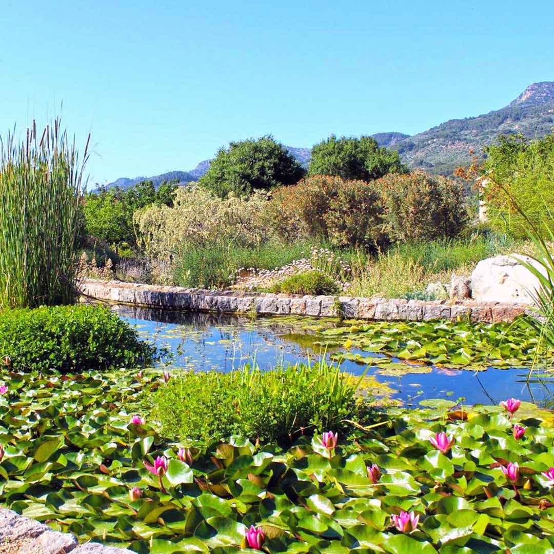 Jardín Botánico de Sóller