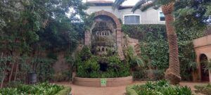 Plantas nativas vs. Especies exóticas: ¿Cuál elegir para tu proyecto? jardines-de-la-tamarita_esparcimiento2_PD