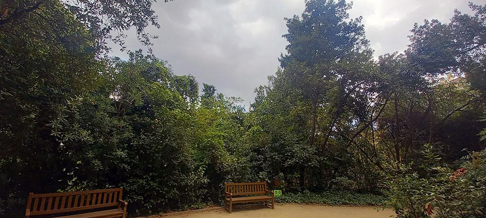 Jardines de la Tamarita 