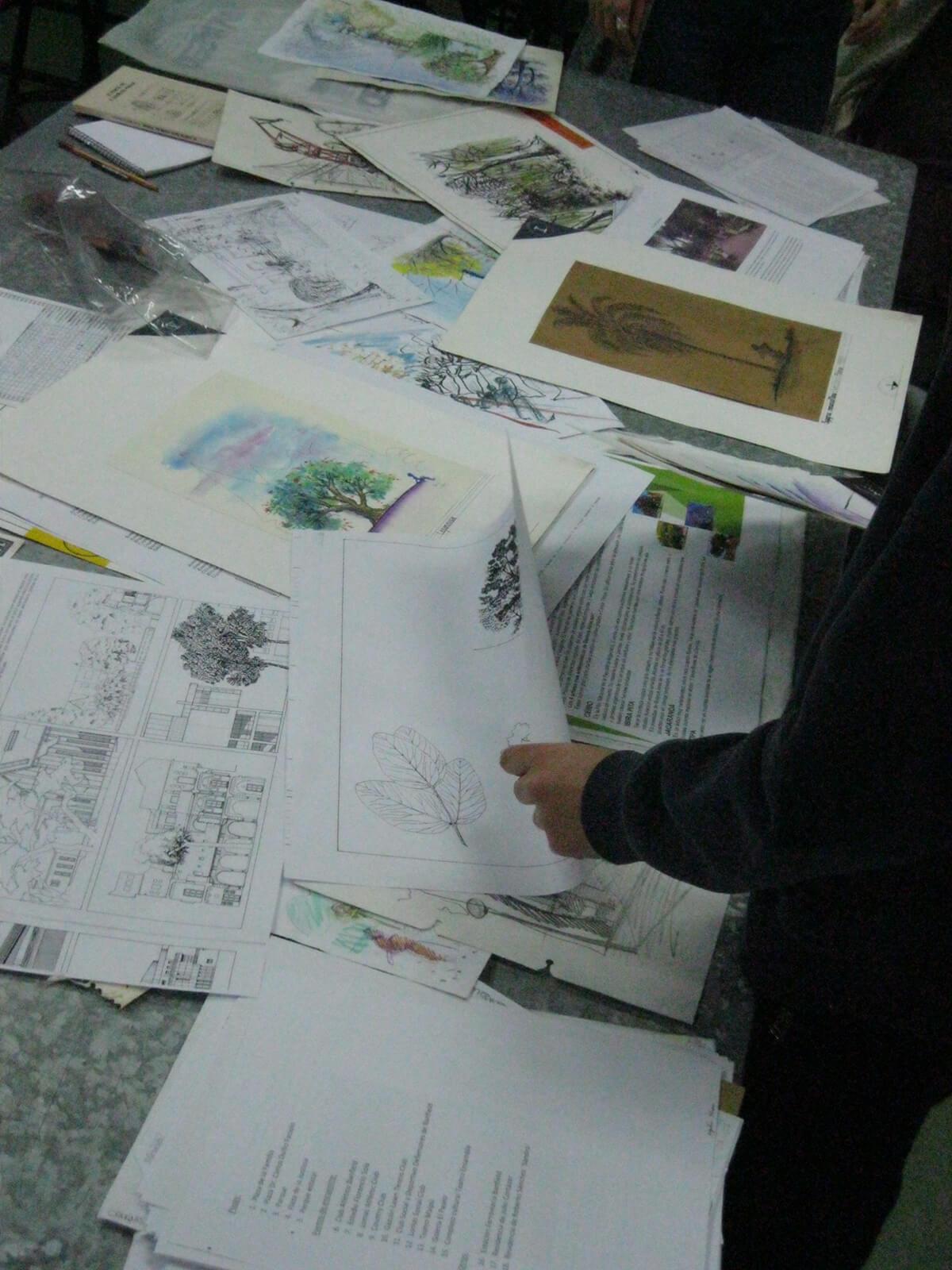Curso Diseño de Espacios Verdes Sustentables con Plantas Nativas