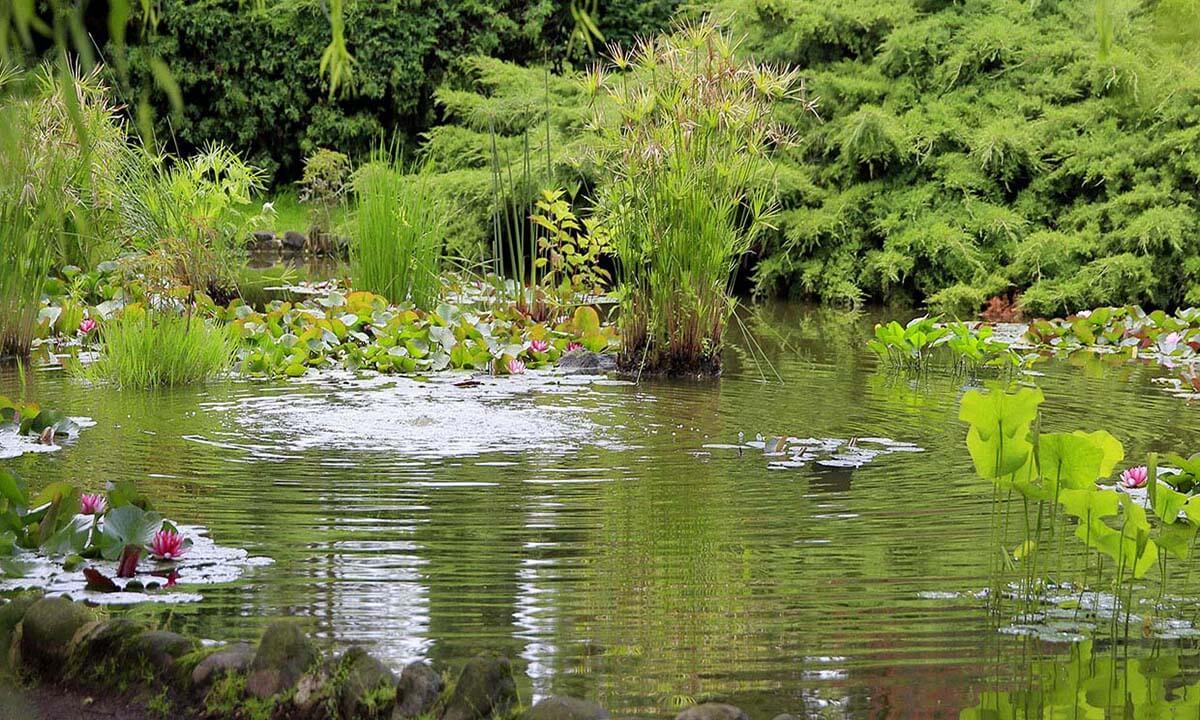 Jardines de lluvia