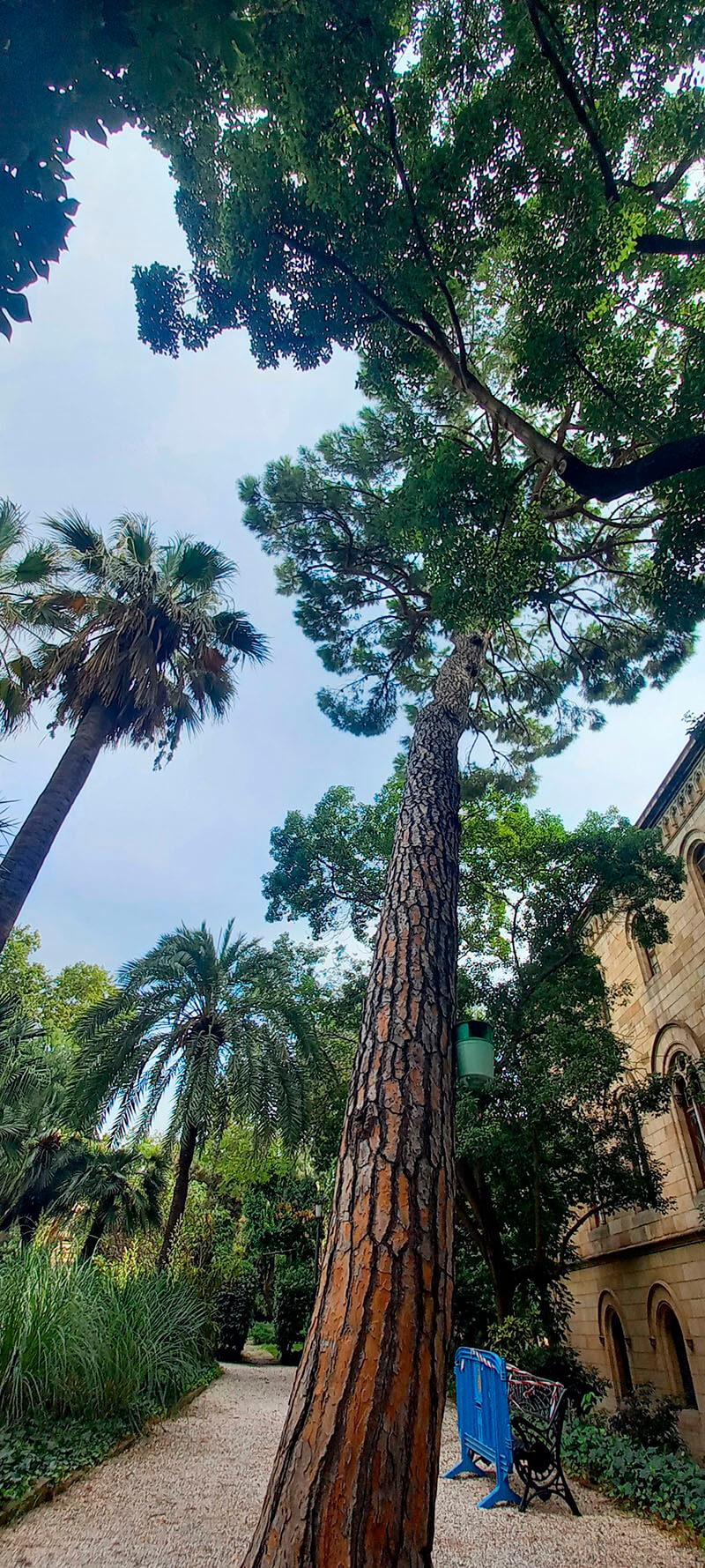 Jardines de Ferran Soldevila