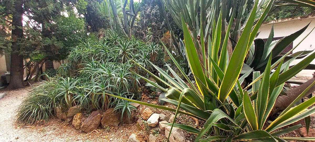 Jardines de Ferran Soldevila