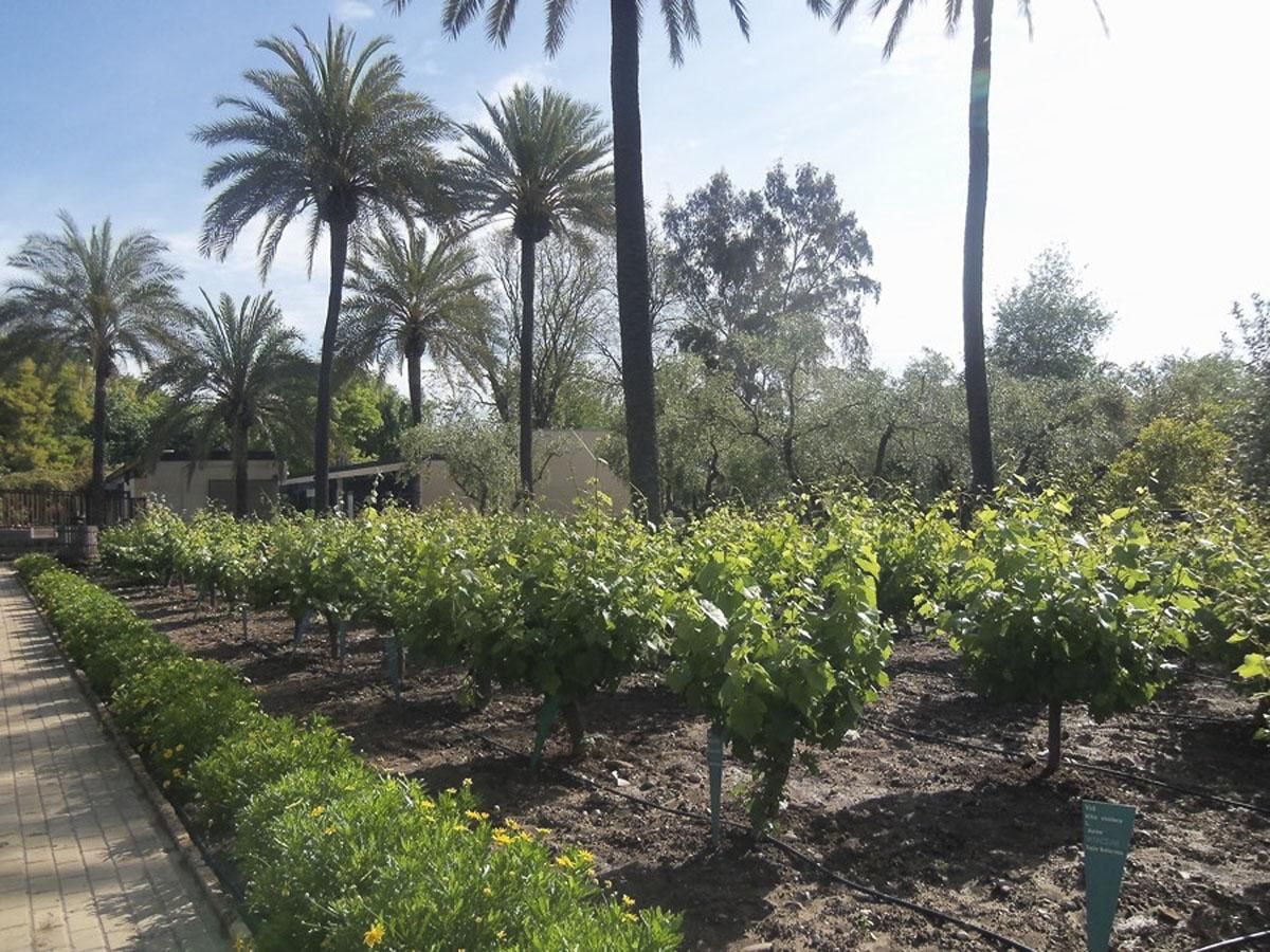 Jardín Botánico de Córdoba