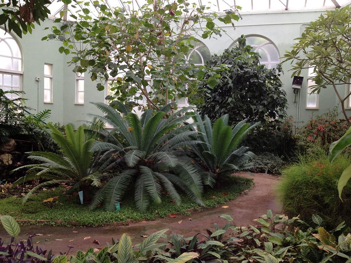 Jardín Botánico de Córdoba