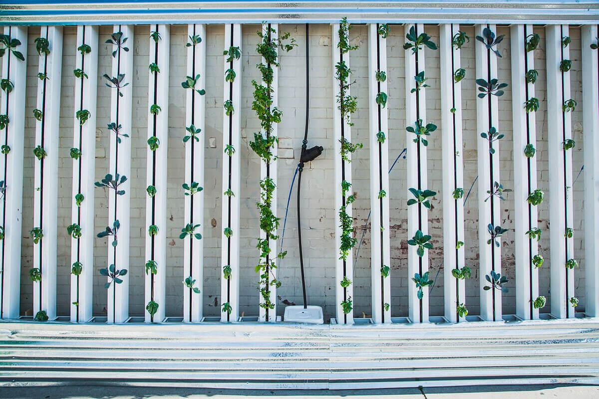 tipos de jardines verticales