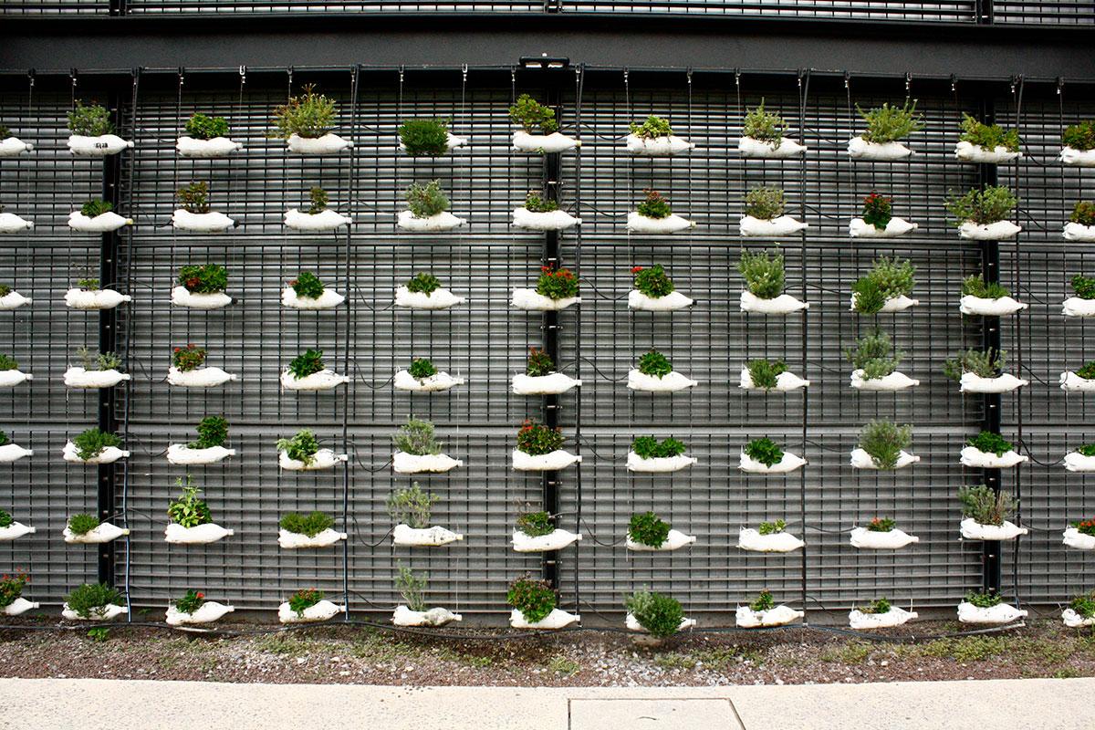 tipos de jardines verticales