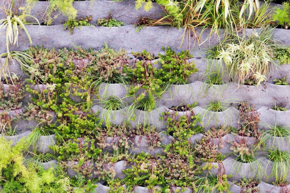 tipos de jardines verticales