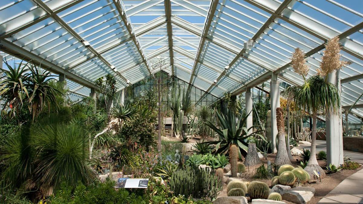 Real Jardín Botánico de Kew