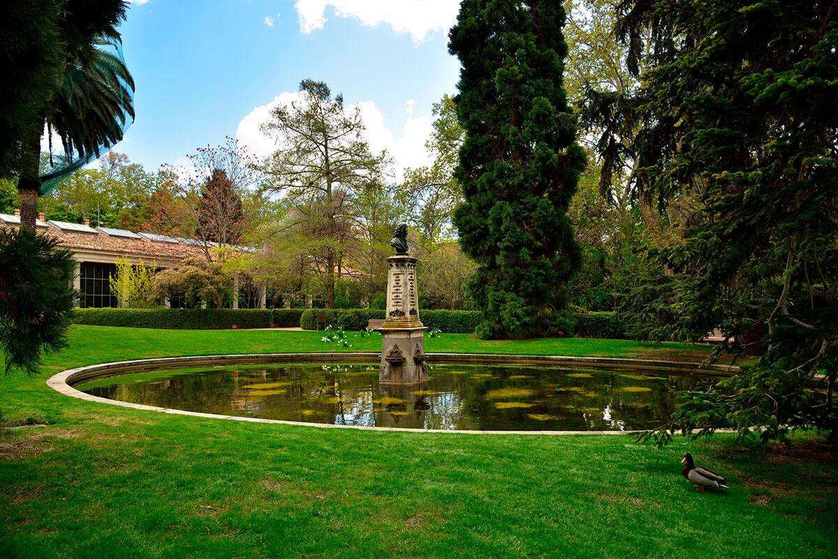 Real Jardín Botánico Alfonso XIII
