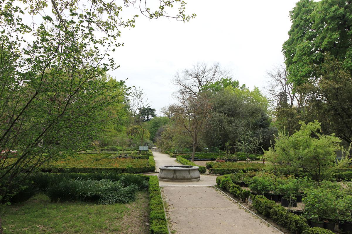 Real Jardín Botánico Alfonso XIII