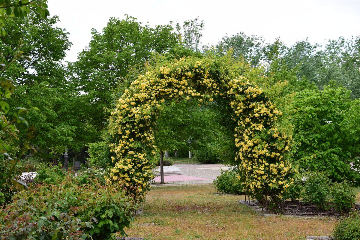 Real Jardín Botánico Alfonso XI