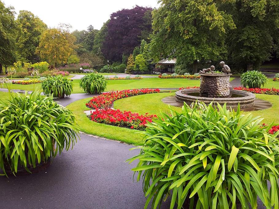 jardines en verano