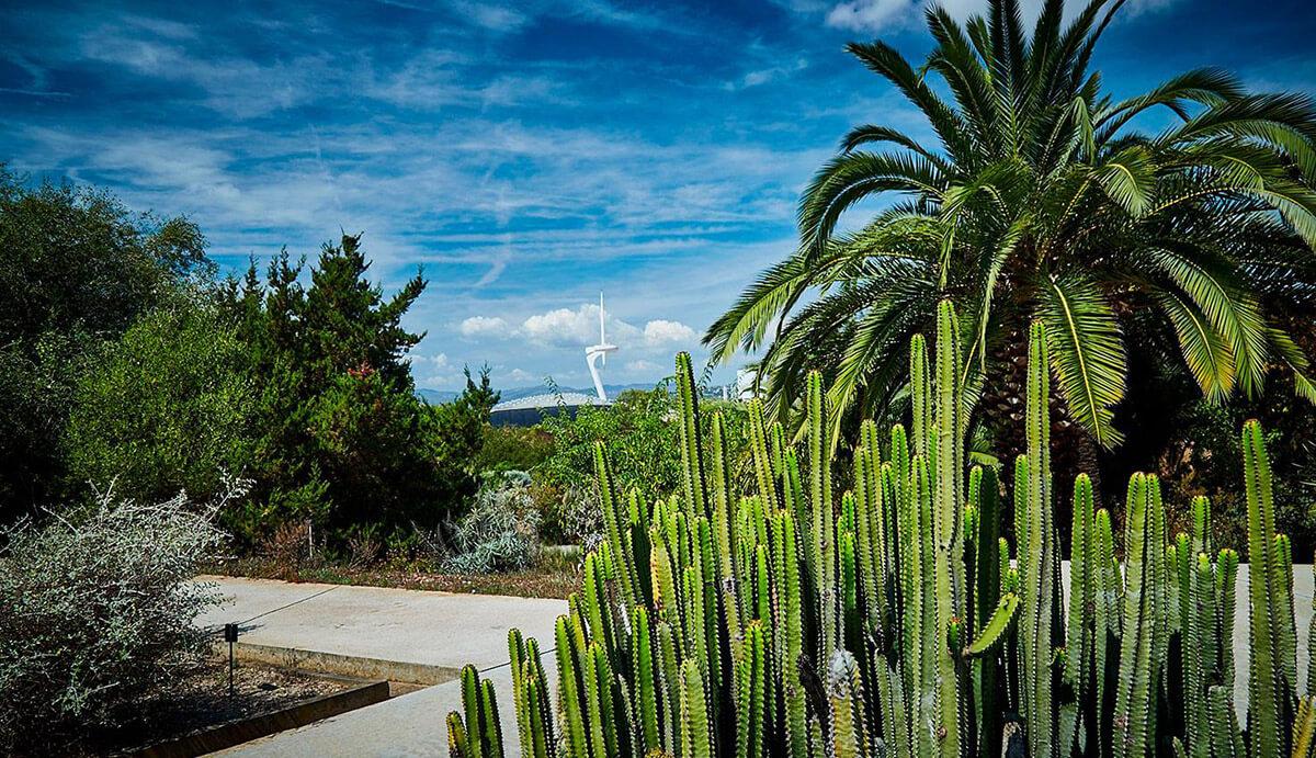 Jardín Botánico de Barcelona