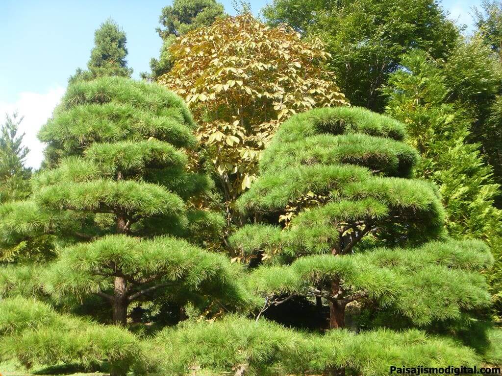 Jardín Botánico de Iturrarán