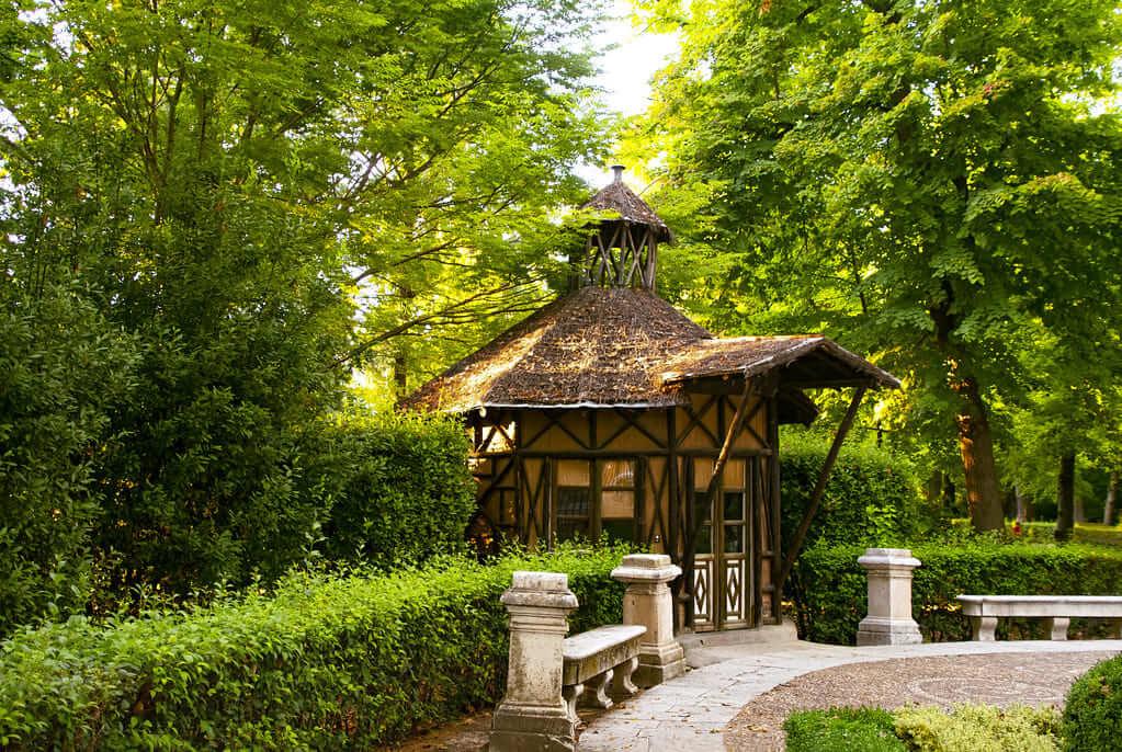 jardín en noviembre