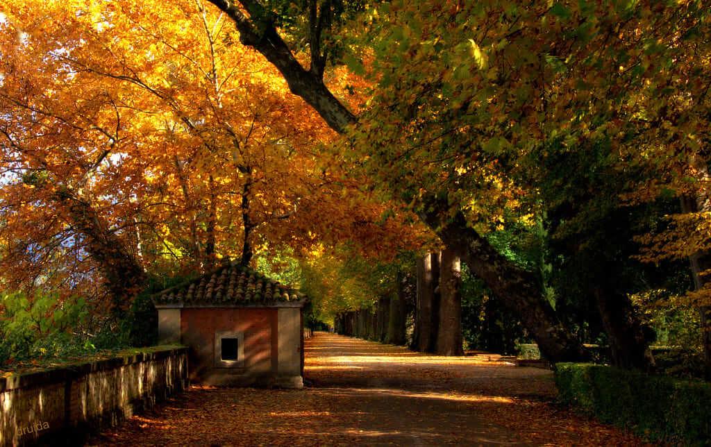 jardín en noviembre