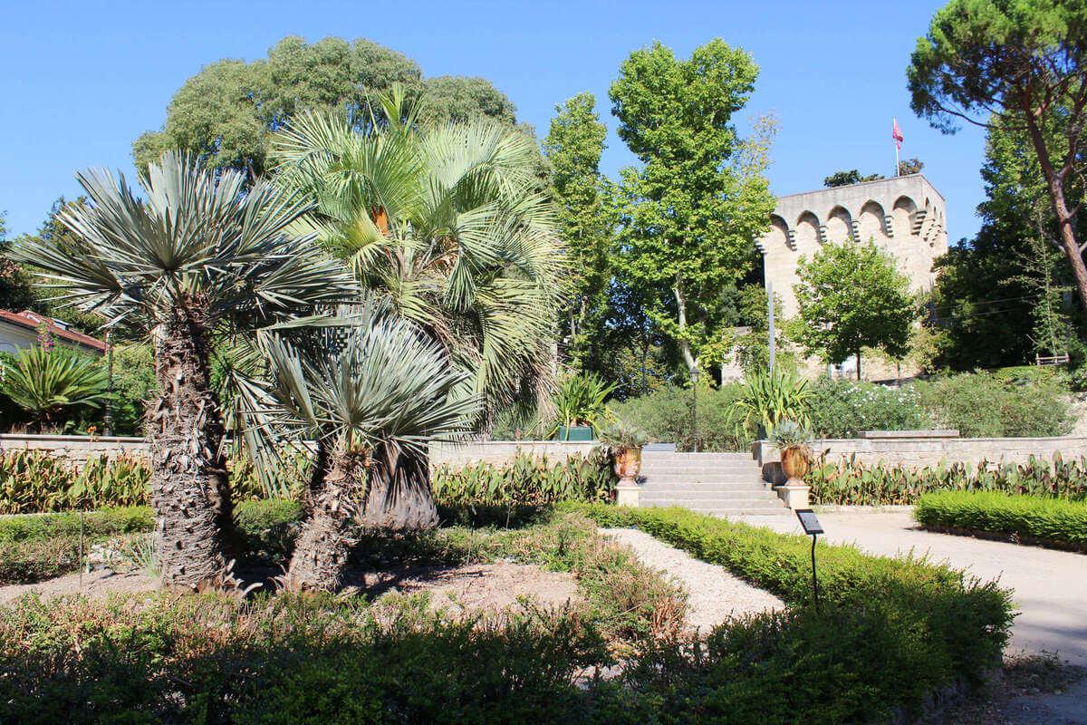 Jardín de Plantas de Montpellier