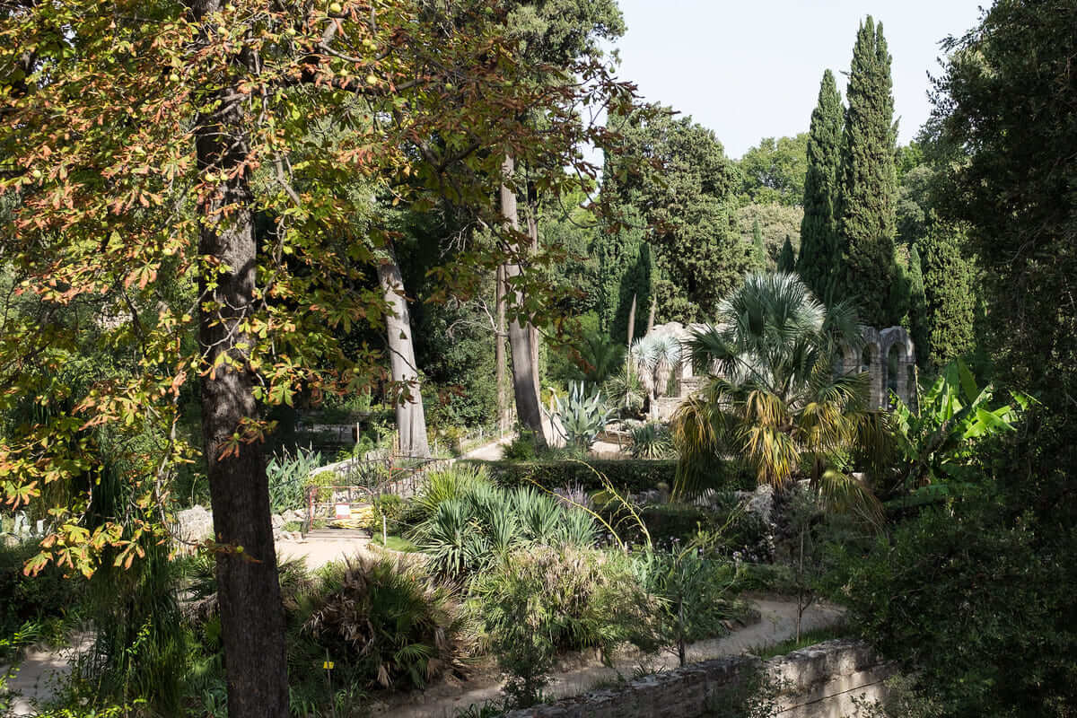 Jardín de plantas de Montpellier