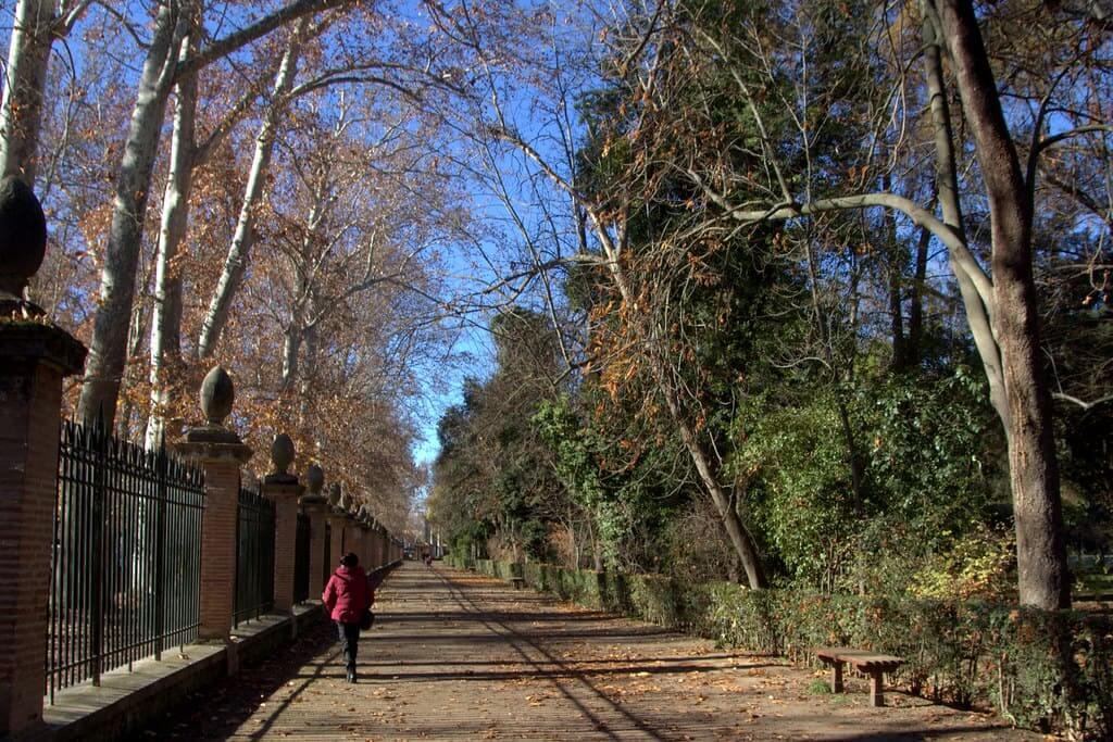 jardines en enero