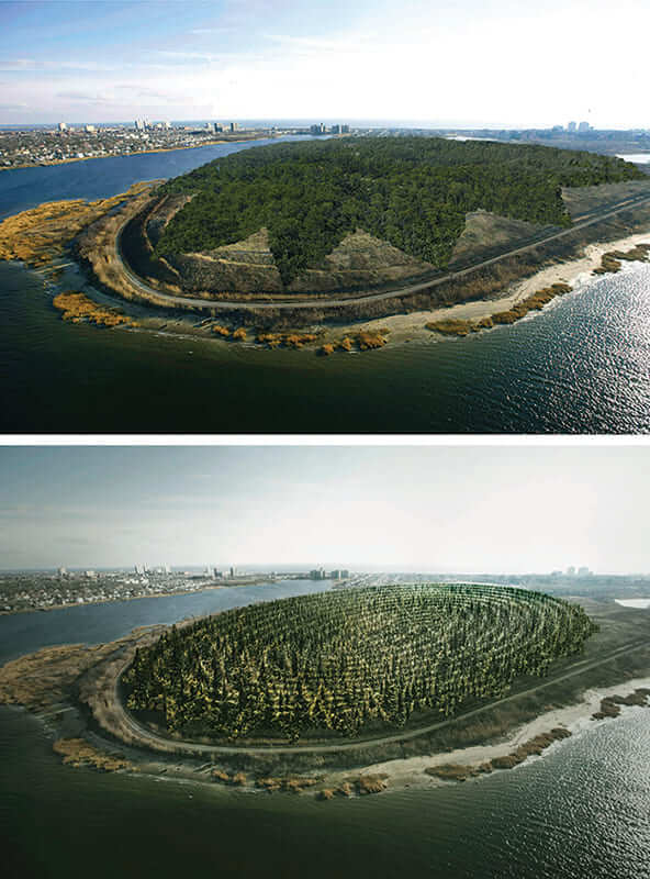 land art de Agnes Denes