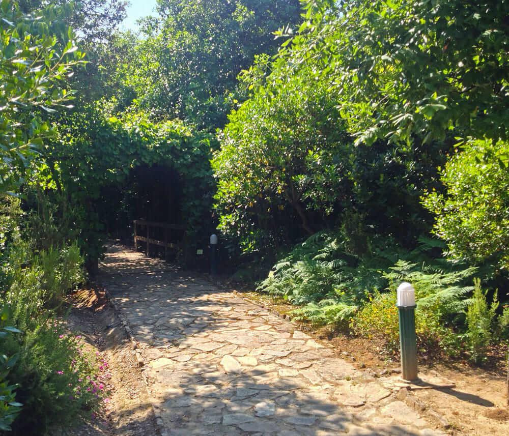 Jardín Botánico El Aljibe