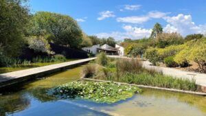 Paisajismo con flora autóctona en entornos urbanos: desafíos y ventajas plantas-exoticas-flora-nativa-en-espana-portada