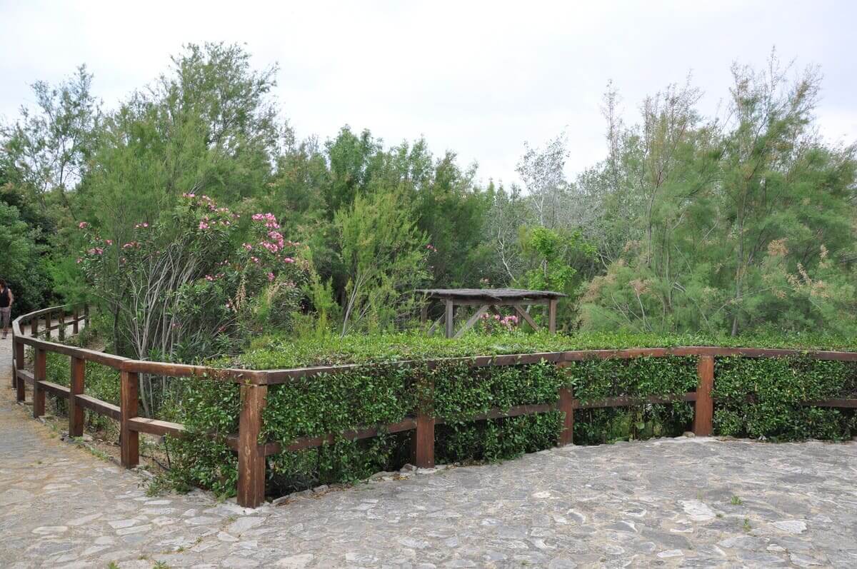 Jardín Botánico El Aljibe