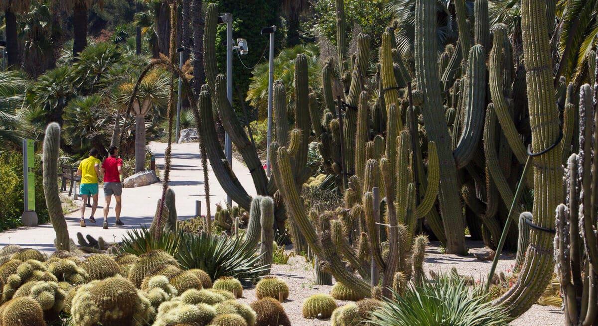 flora nativa en España